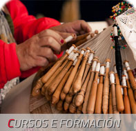 Cursos e formación